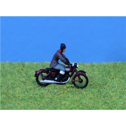 Motorcycle & Rider Painted