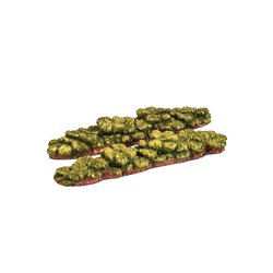 Vegetable Rows - Rhubarb (2)