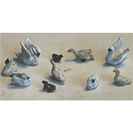 Painted Waterfowl 10 x Swans,ducks,geese