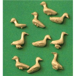 Ducks (8)