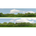 iD Backscenes Scenic Backgrounds - Trees Pack A