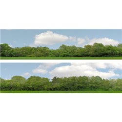 Trees (pack A) 2 x 5' x 15" premium OO gauge backscene