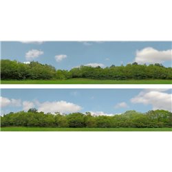 Trees (pack C) 2 x 5' x 15" premium OO gauge backscene