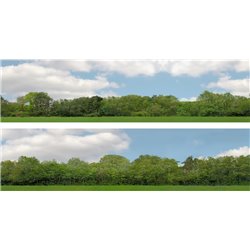 Trees (pack D) 2 x 5' x 15" premium OO gauge backscene