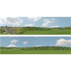 Village Long (pack C) 2 x 5' x 15" premium OO gauge backscene