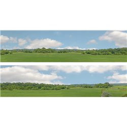 Village Long (pack D) 2 x 5' x 15" premium OO gauge backscene