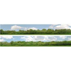 Trees (pack A) 2 x 5' x 9" premium N gauge backscene