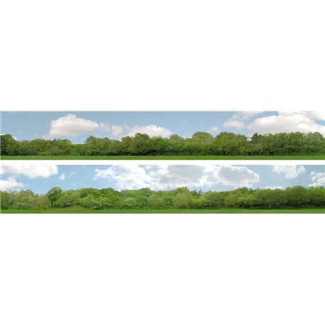 Trees (pack A) 2 x 5' x 9" premium N gauge backscene