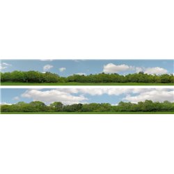 Trees (pack B) 2 x 5' x 9" premium N gauge backscene