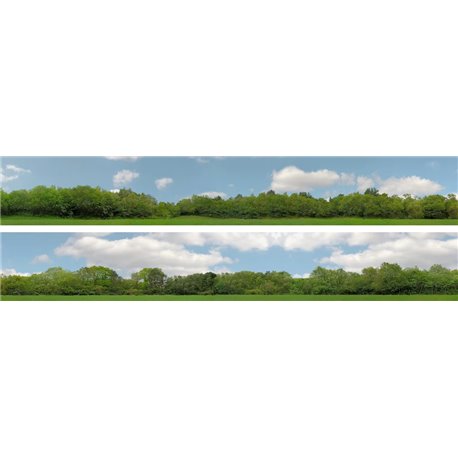 Trees (pack B) 2 x 5' x 9" premium N gauge backscene