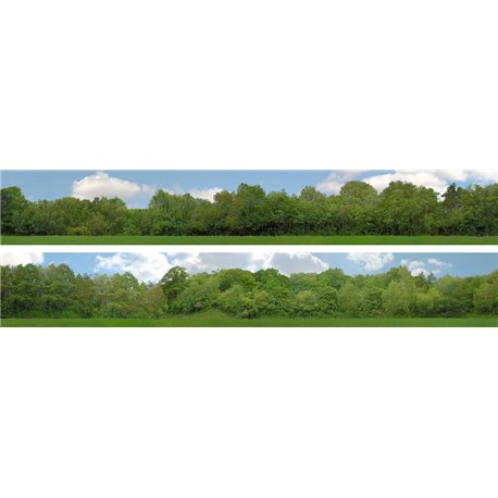 Tall Trees (pack A) 2 x 5' x 9" premium N gauge backscene