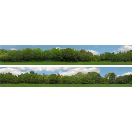 Tall Trees (pack B) 2 x 5' x 9" premium N gauge backscene