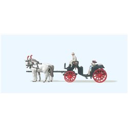 Horse Drawn Open