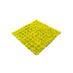 Daffodil Tufts 6mm x 103