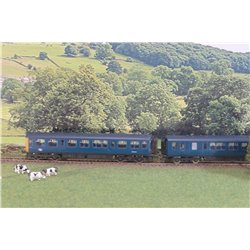 Hornby R267 British Rail Class 110 E51819 British Rail Blue 2 Car DMU . Used. OO Gauge 