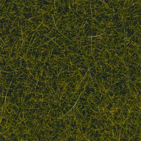 Wild Grass - Light Green 12mm high (40g)