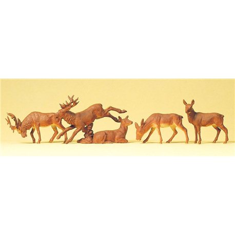 Stags & Deer x 5