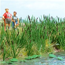 Bulrushes Kit for ponds, rivers and other bodies of water
