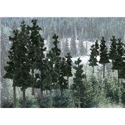 6-8in. Conifer Colors - Pack of 12