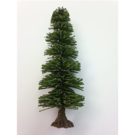 OO spruce tree